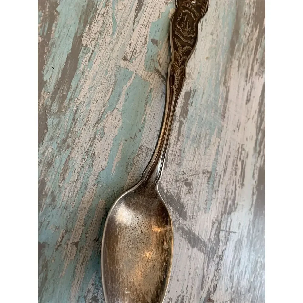 Wm Rogers International Silver Silverplate State Seals Spoon D.C.6
